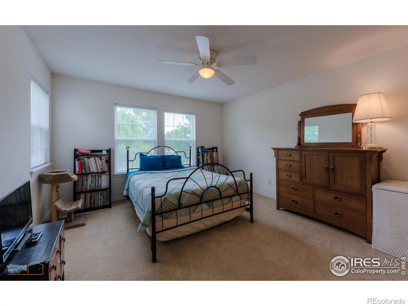 MLS Image #18 for 13900  lake song lane,broomfield, Colorado