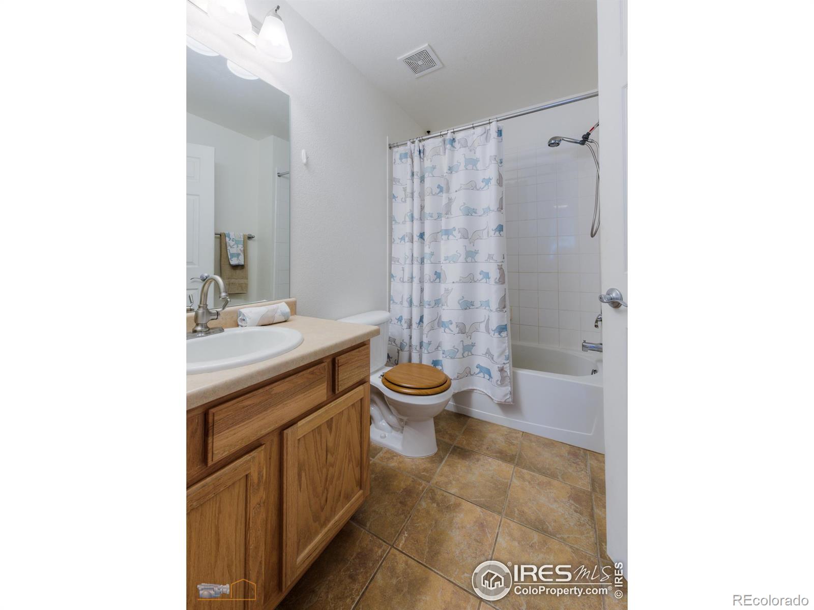 MLS Image #21 for 13900  lake song lane,broomfield, Colorado