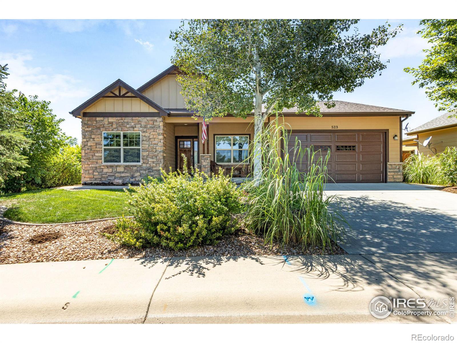 Report Image for 523  Prairie Clover Way,Severance, Colorado