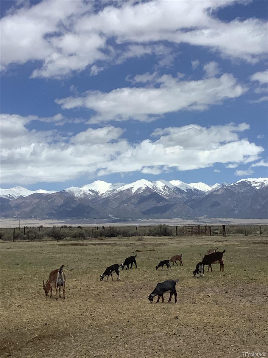 MLS Image #3 for 18050  state highway 17 ,moffat, Colorado