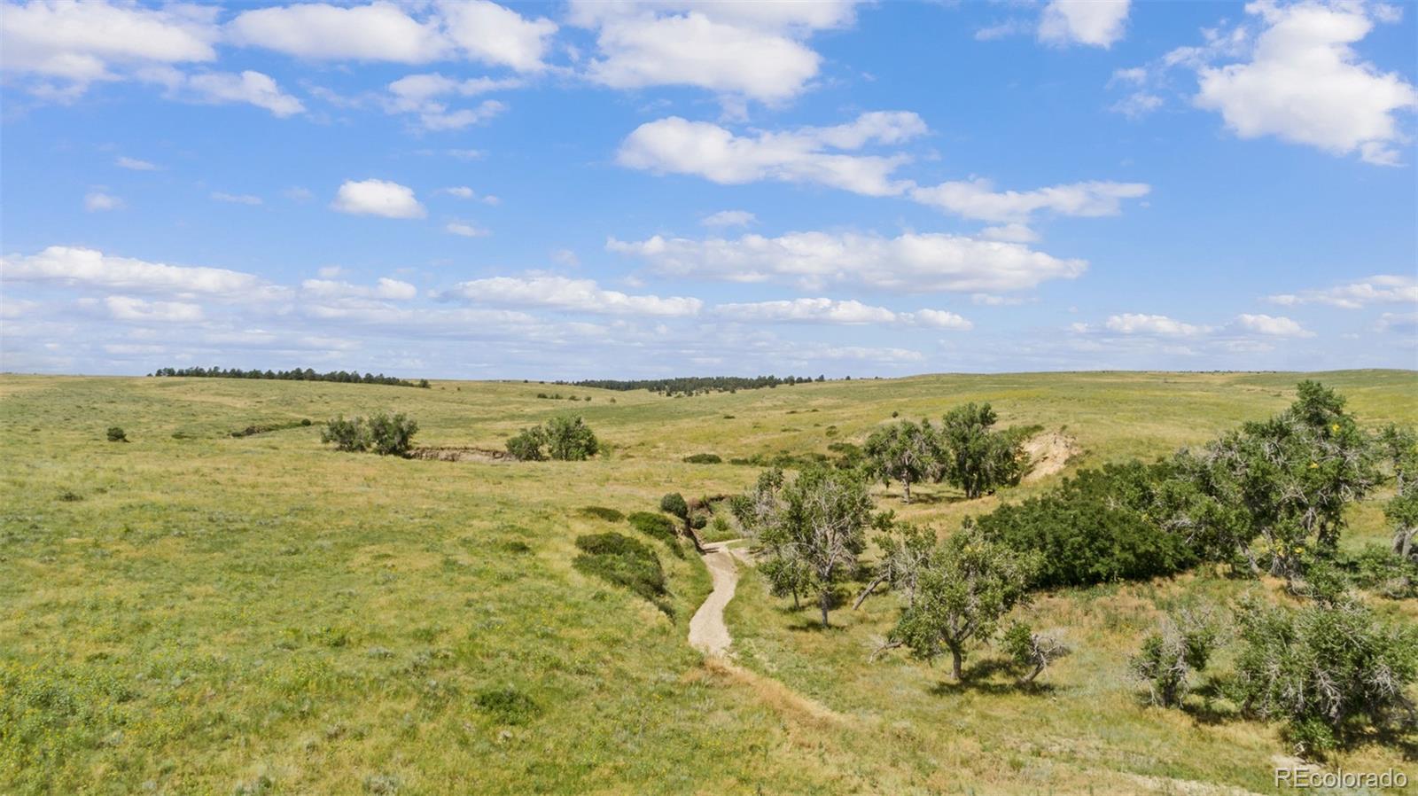 MLS Image #29 for 26555  county road 166 ,agate, Colorado