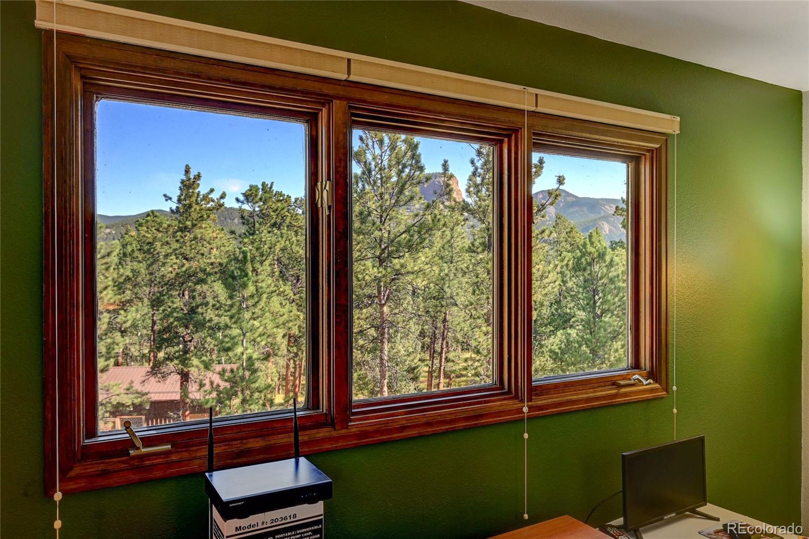MLS Image #21 for 411  spring drive,pine, Colorado