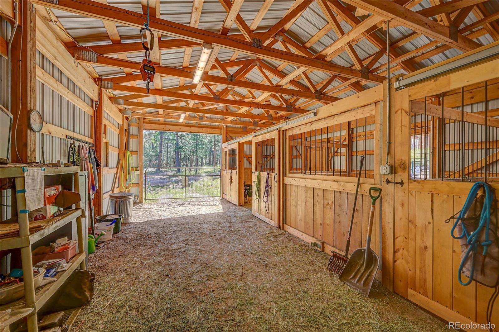 MLS Image #4 for 411  spring drive,pine, Colorado