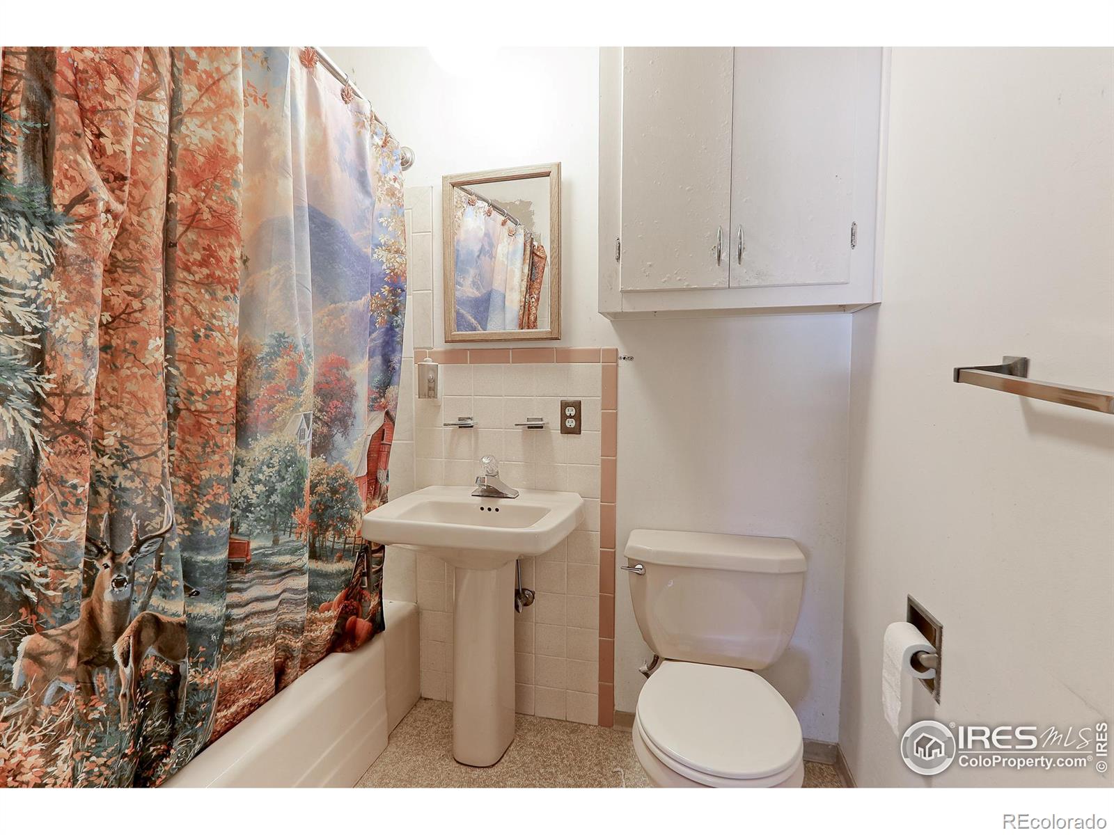 MLS Image #12 for 1510 s valentine way,lakewood, Colorado