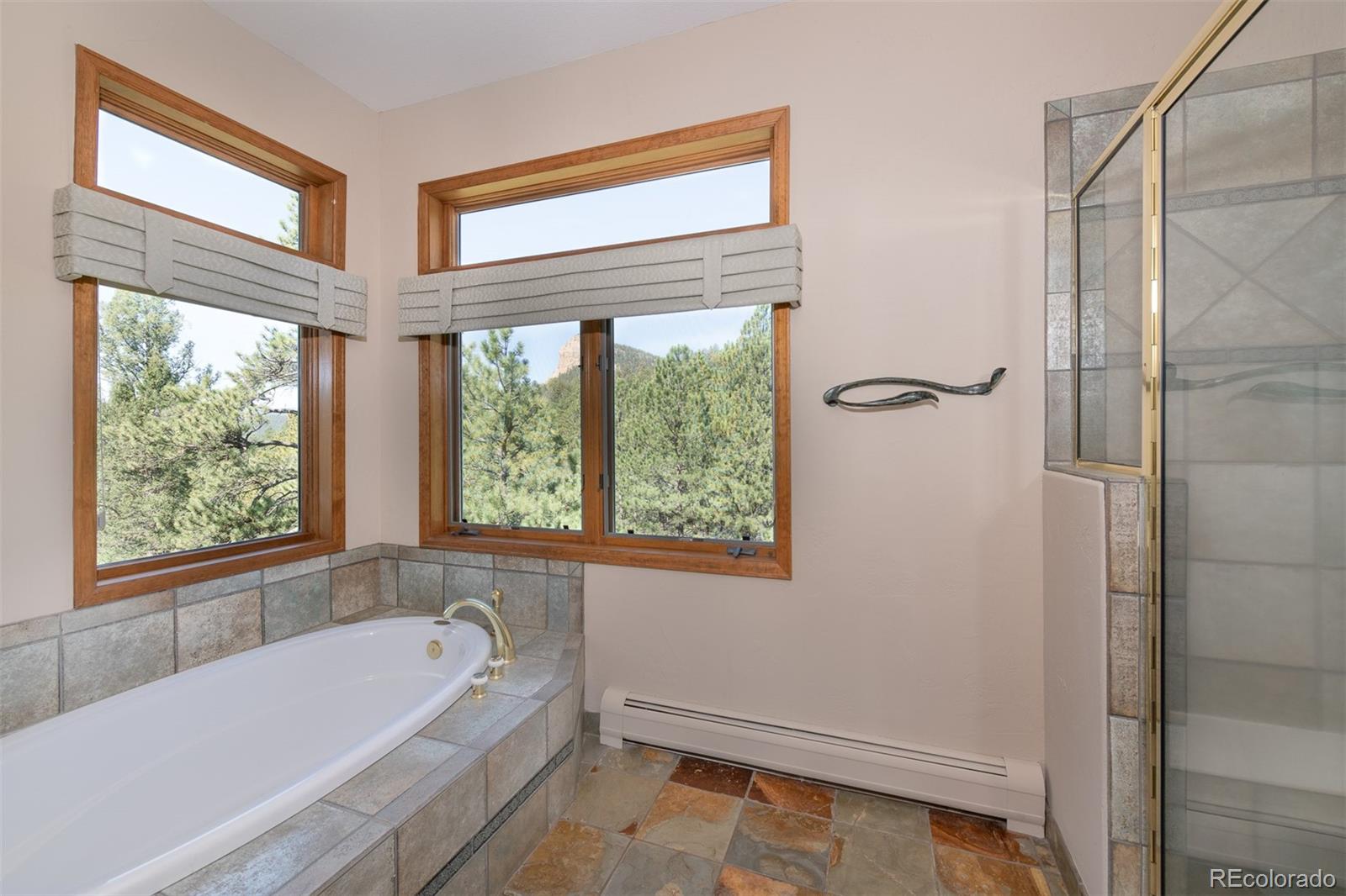 MLS Image #19 for 35631  upper aspen lane,pine, Colorado