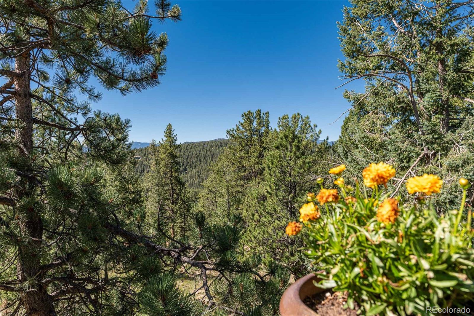 MLS Image #23 for 35631  upper aspen lane,pine, Colorado