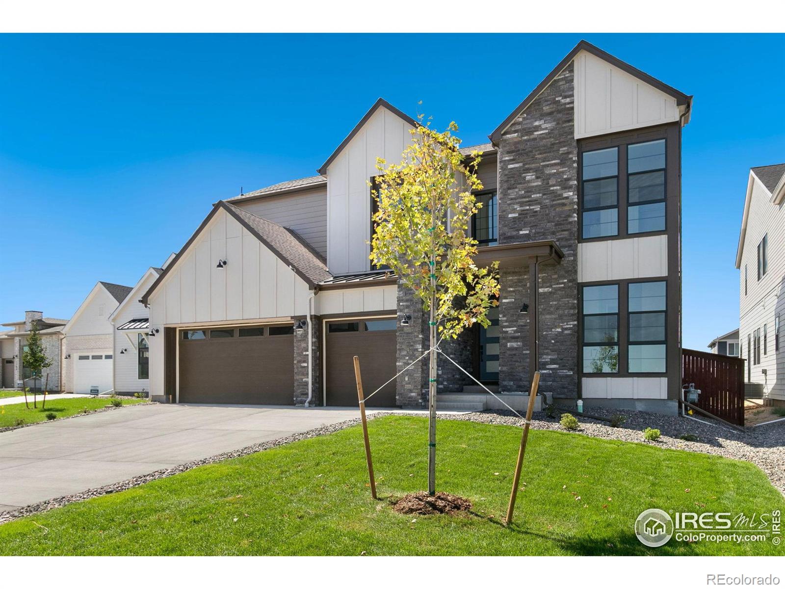 MLS Image #0 for 1702  branching canopy drive,windsor, Colorado