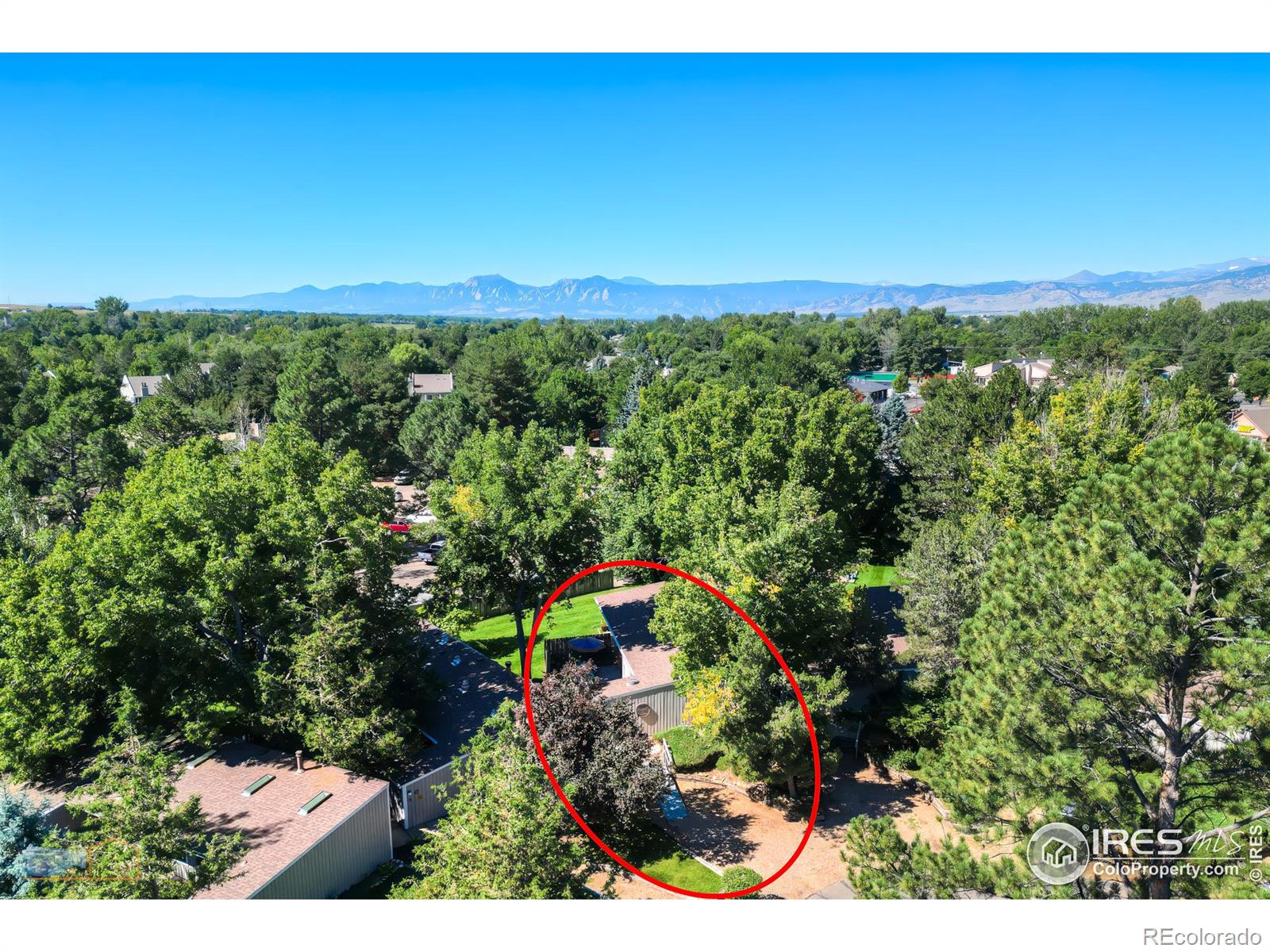 Report Image for 8050  Niwot Road,Niwot, Colorado