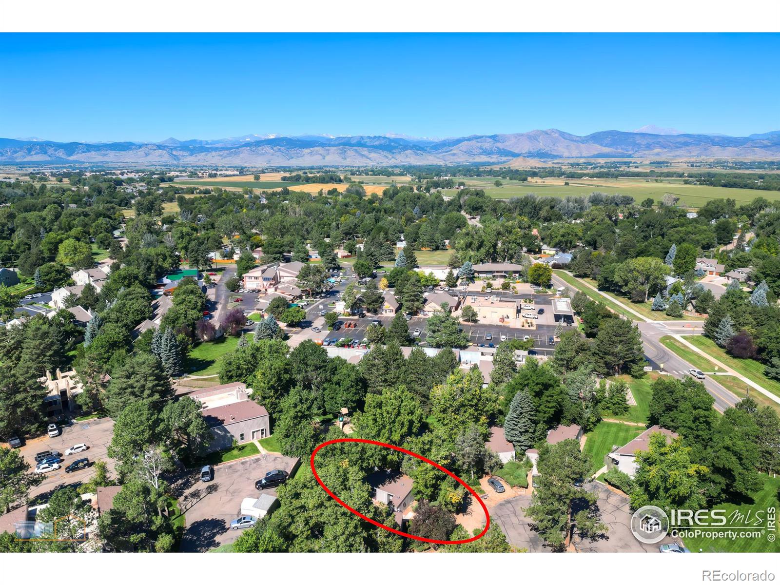 MLS Image #2 for 8050  niwot road,niwot, Colorado