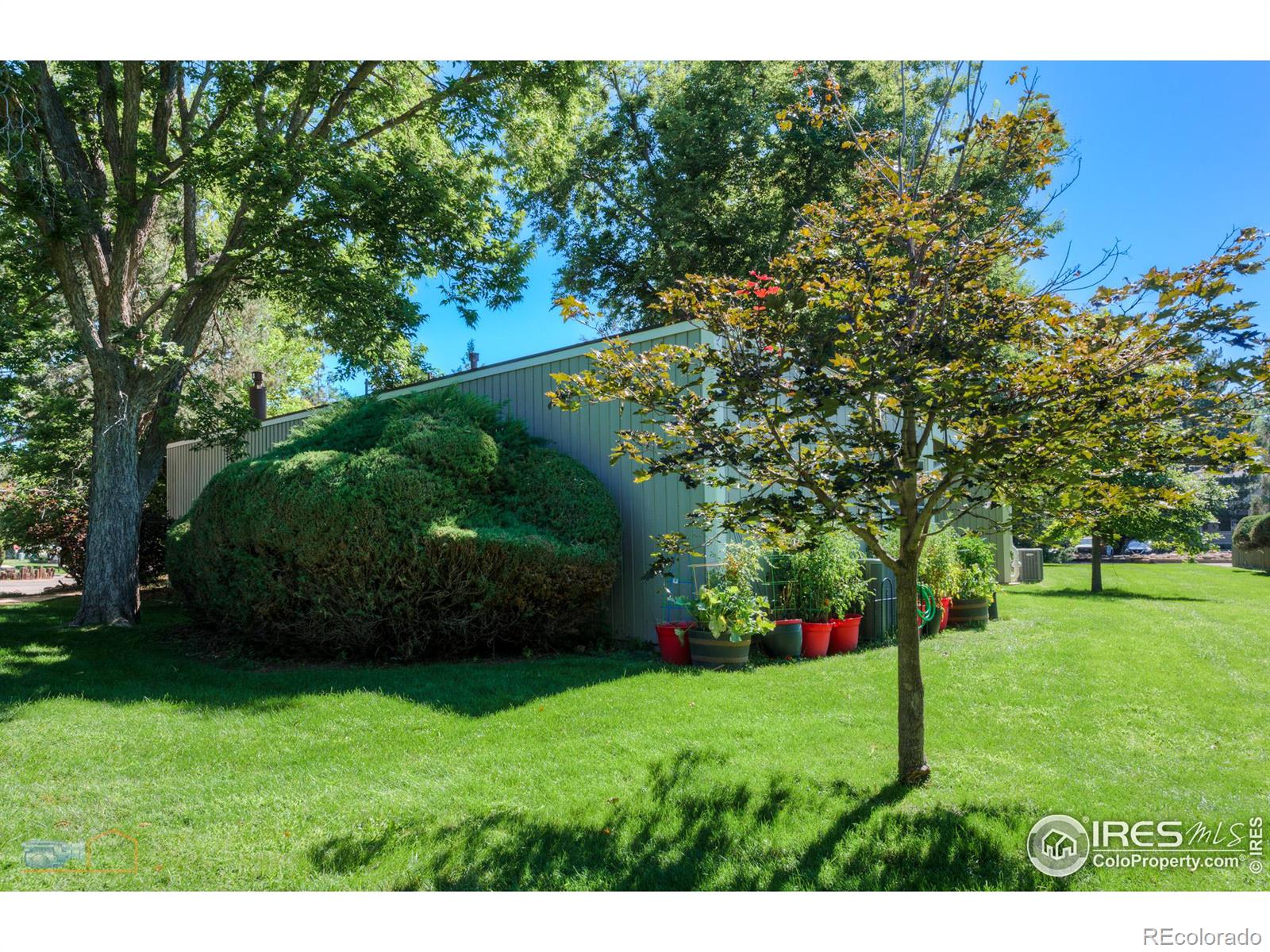 MLS Image #26 for 8050  niwot road,niwot, Colorado