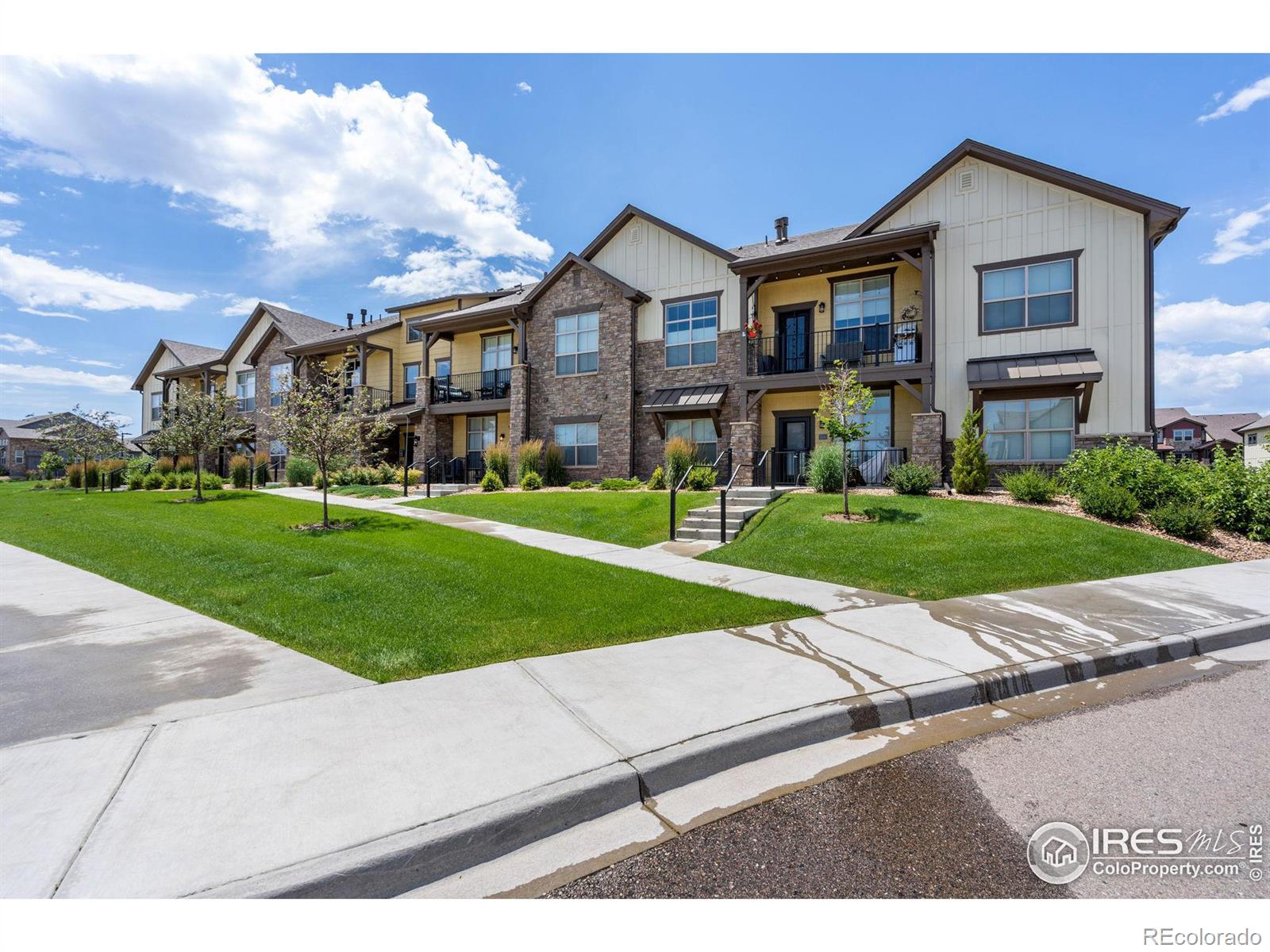 Report Image for 6582  Crystal Downs Drive,Windsor, Colorado