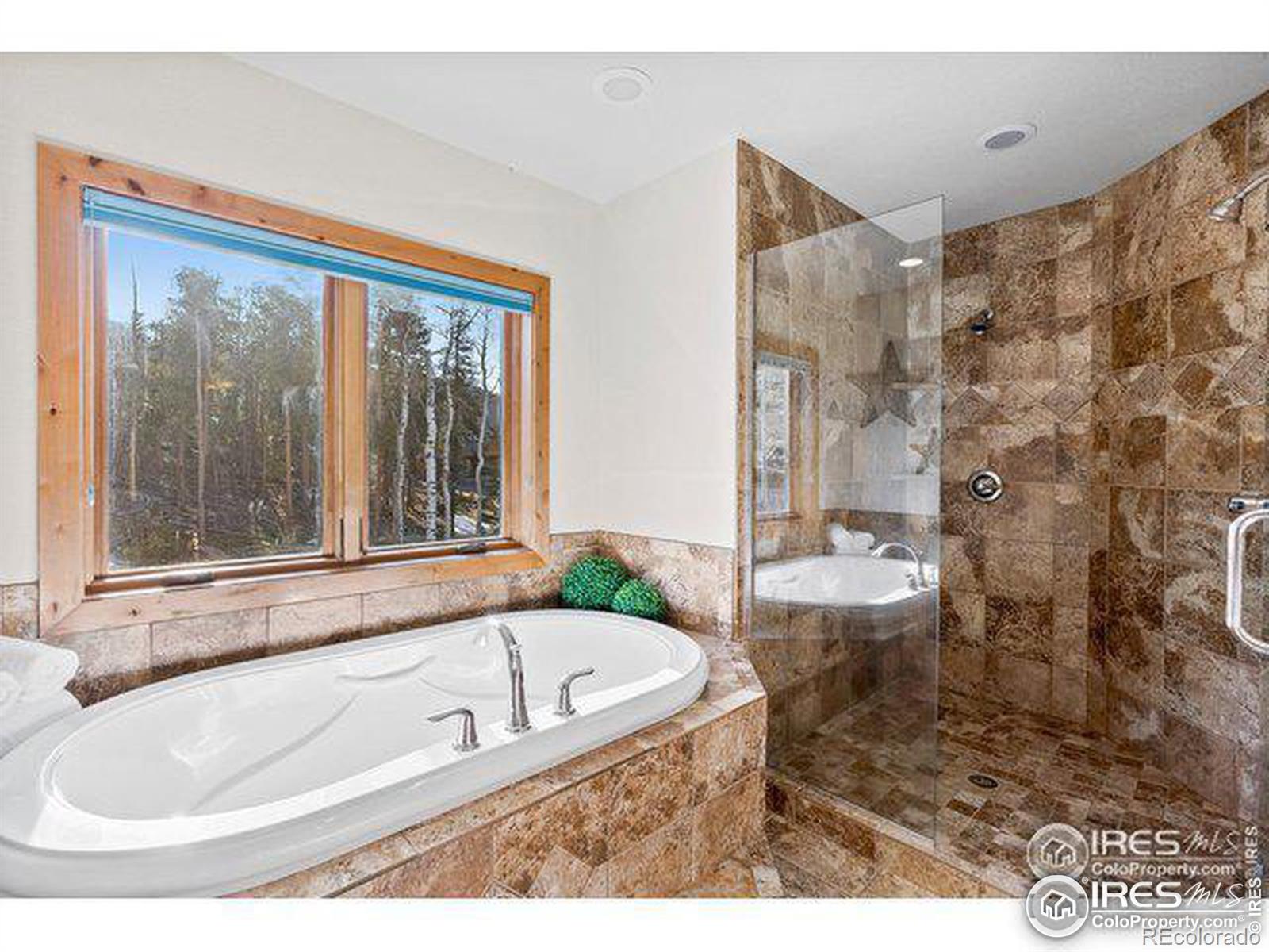 MLS Image #14 for 81  outpost lane,evergreen, Colorado