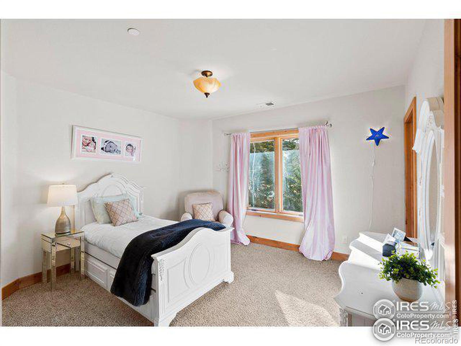 MLS Image #19 for 81  outpost lane,evergreen, Colorado