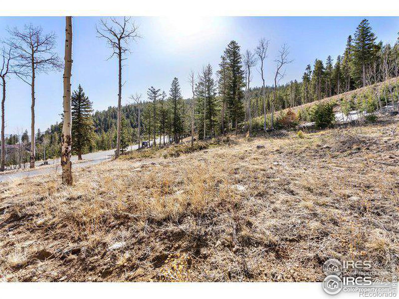 MLS Image #32 for 81  outpost lane,evergreen, Colorado