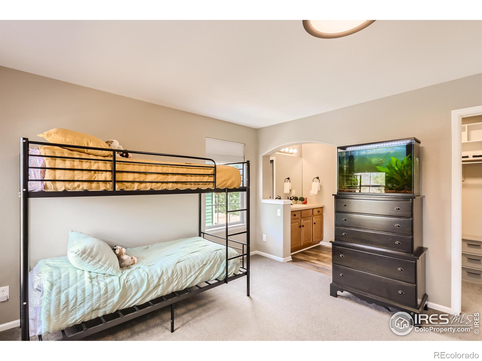 MLS Image #23 for 3250  tabernash drive,loveland, Colorado