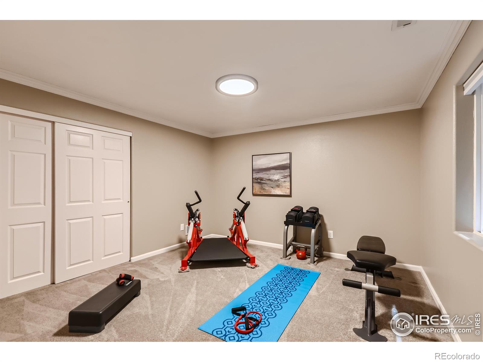 MLS Image #32 for 3250  tabernash drive,loveland, Colorado