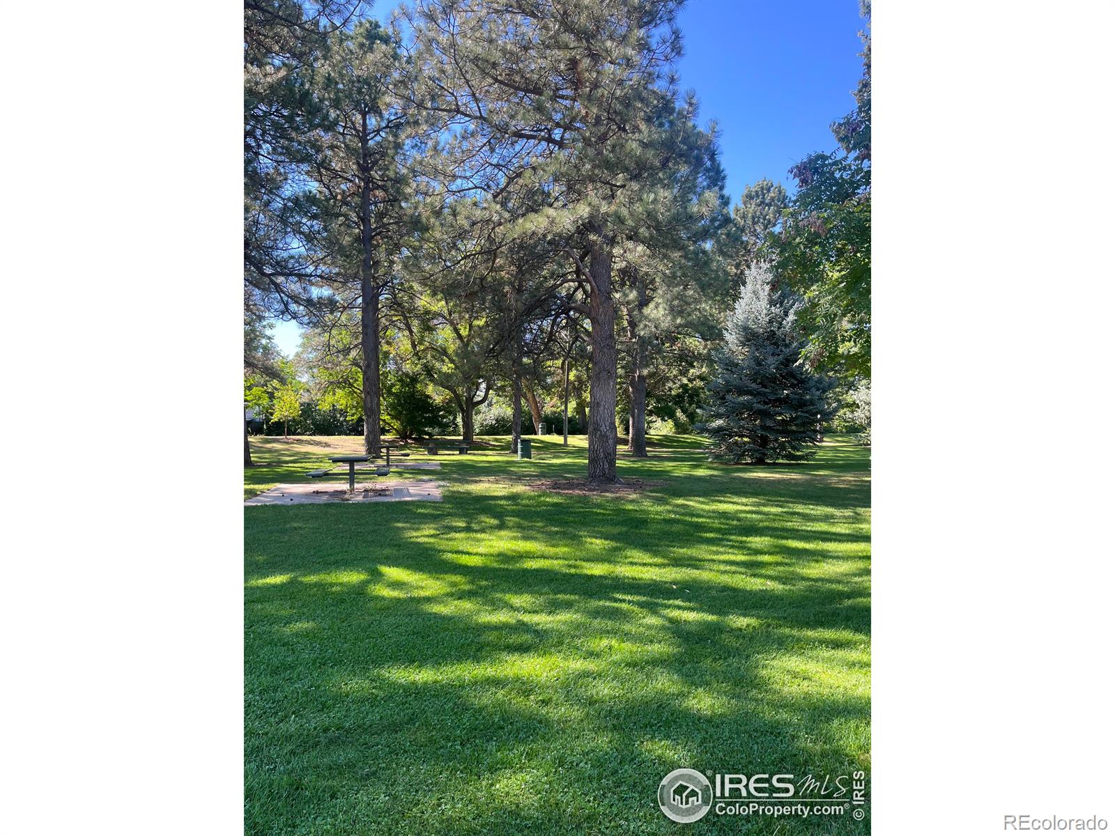 MLS Image #29 for 3017 s grape way,denver, Colorado