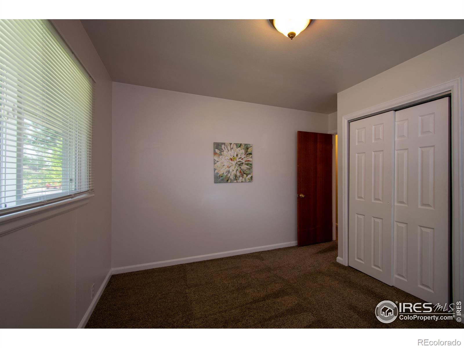 MLS Image #8 for 504  hanna street,fort collins, Colorado