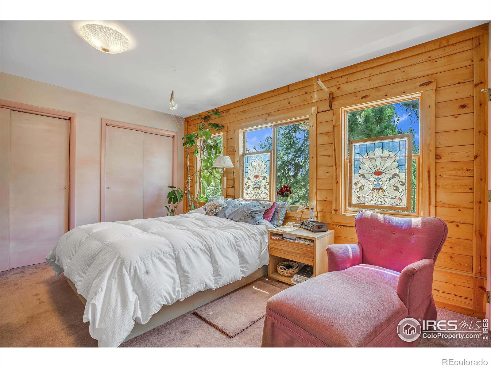 MLS Image #10 for 92  tilghman road,ward, Colorado