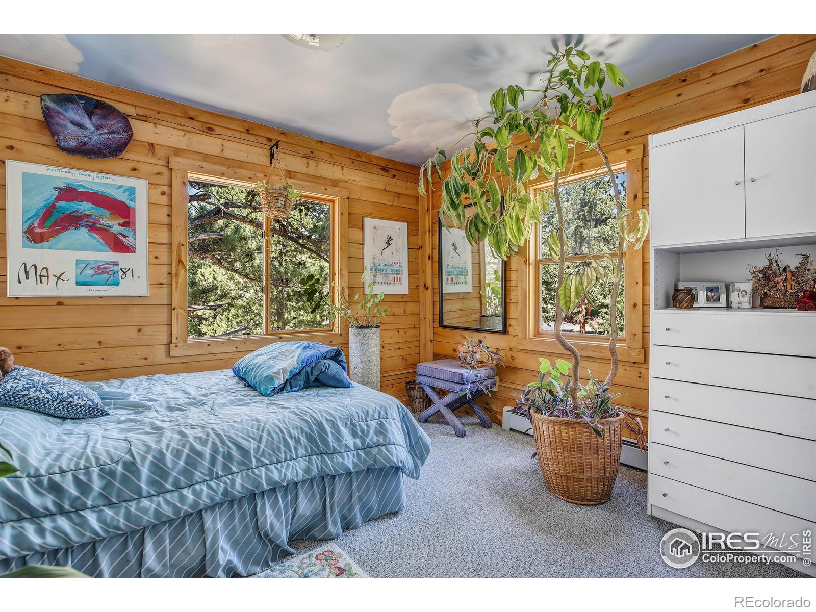 MLS Image #12 for 92  tilghman road,ward, Colorado