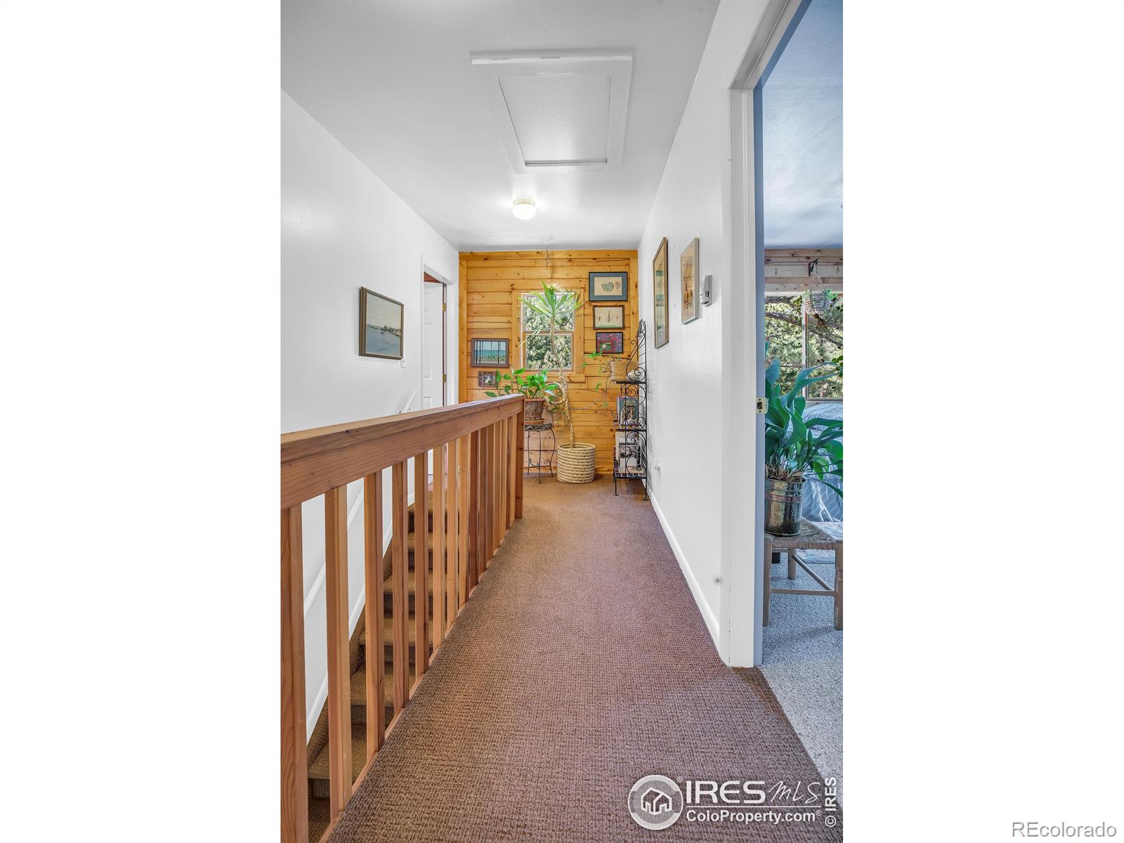 MLS Image #13 for 92  tilghman road,ward, Colorado