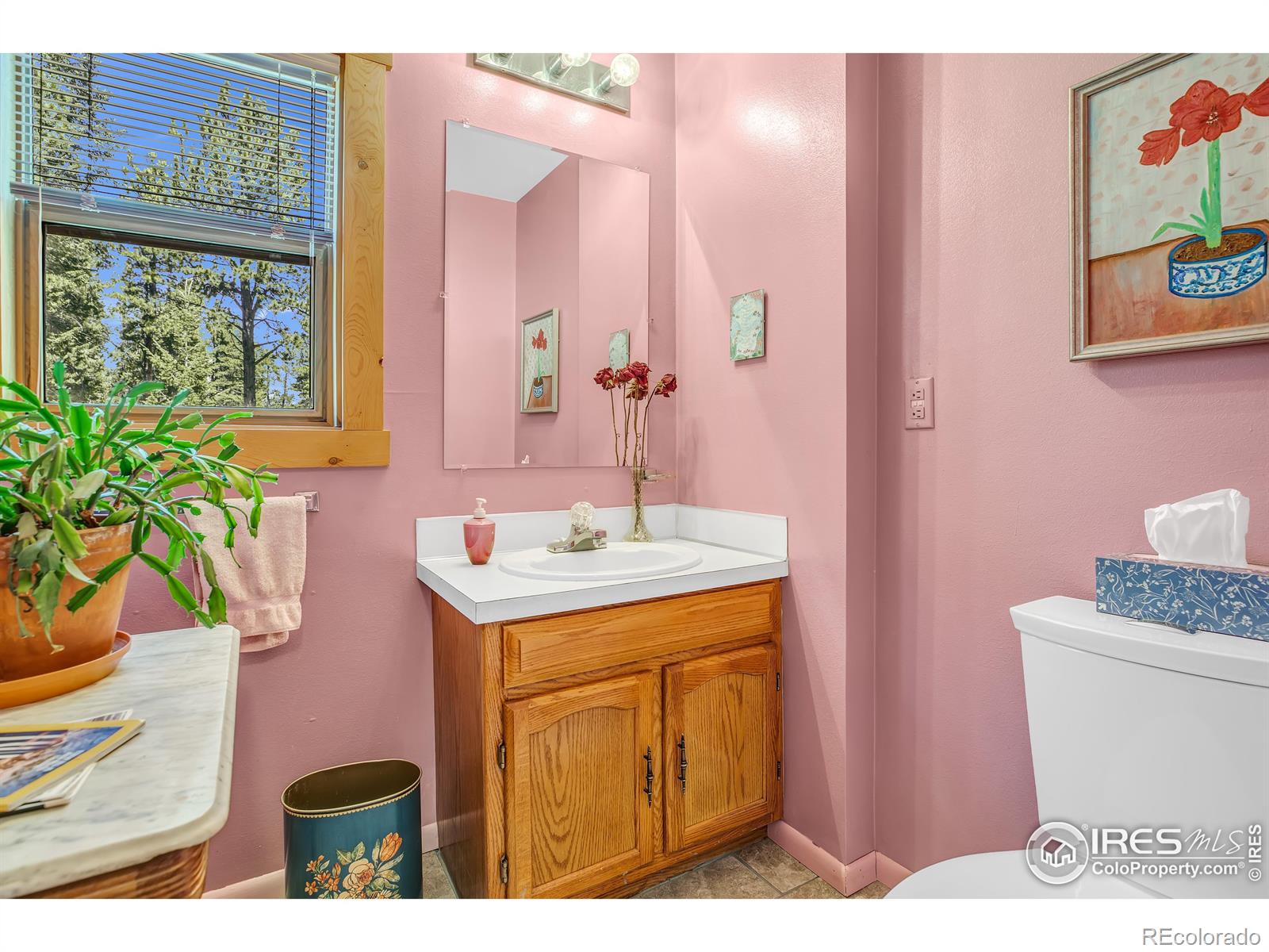 MLS Image #14 for 92  tilghman road,ward, Colorado