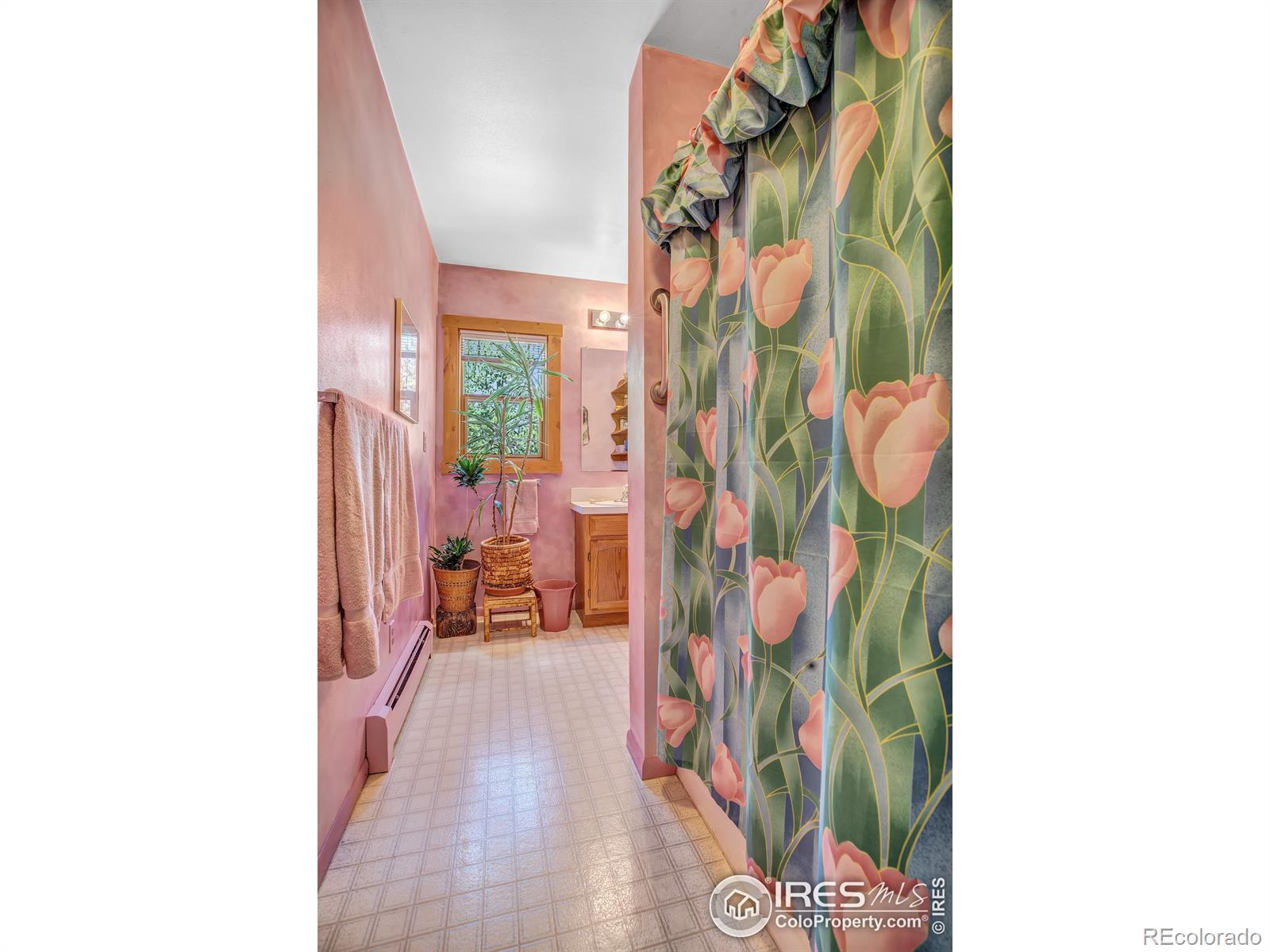 MLS Image #16 for 92  tilghman road,ward, Colorado