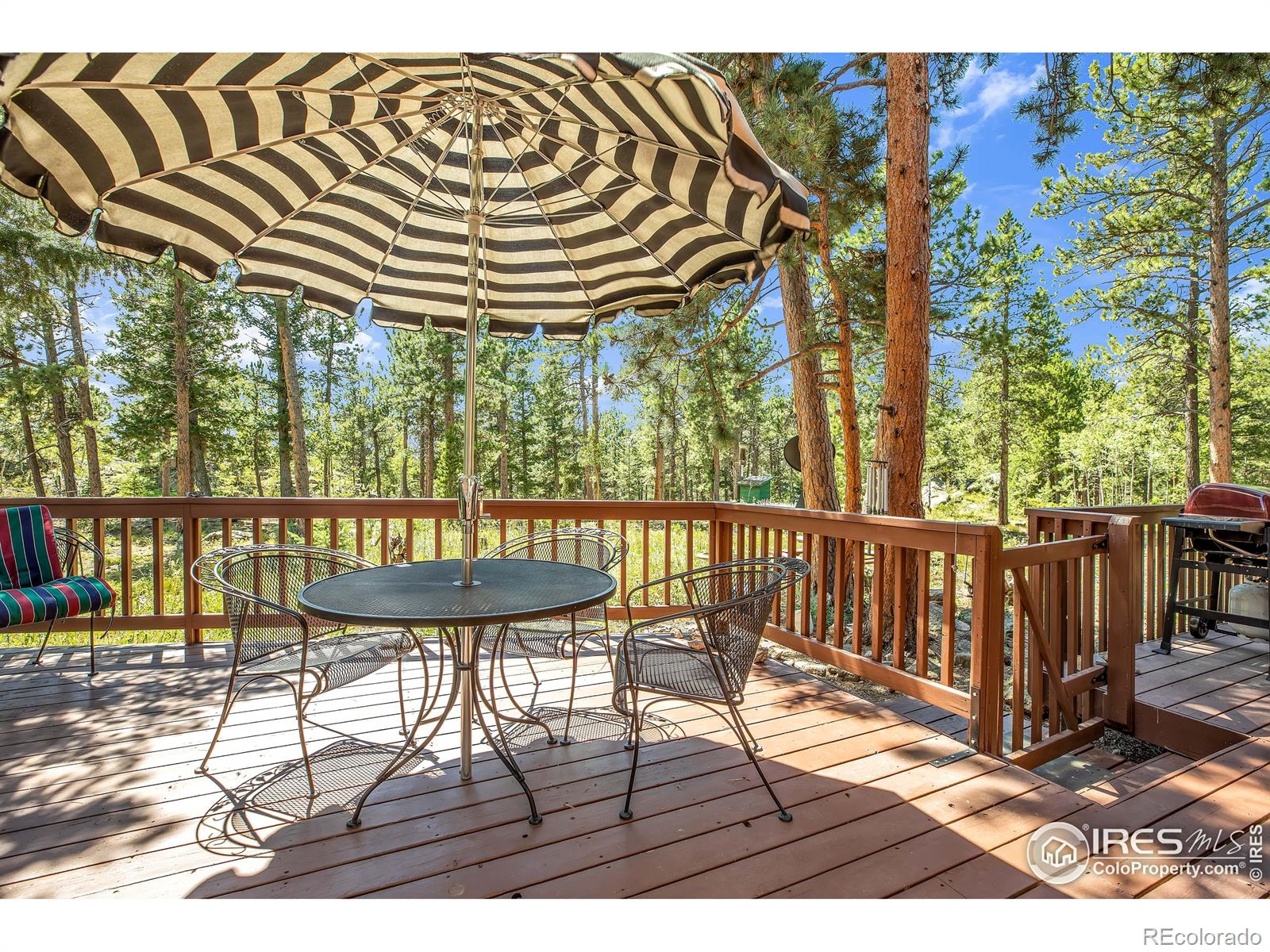 MLS Image #17 for 92  tilghman road,ward, Colorado