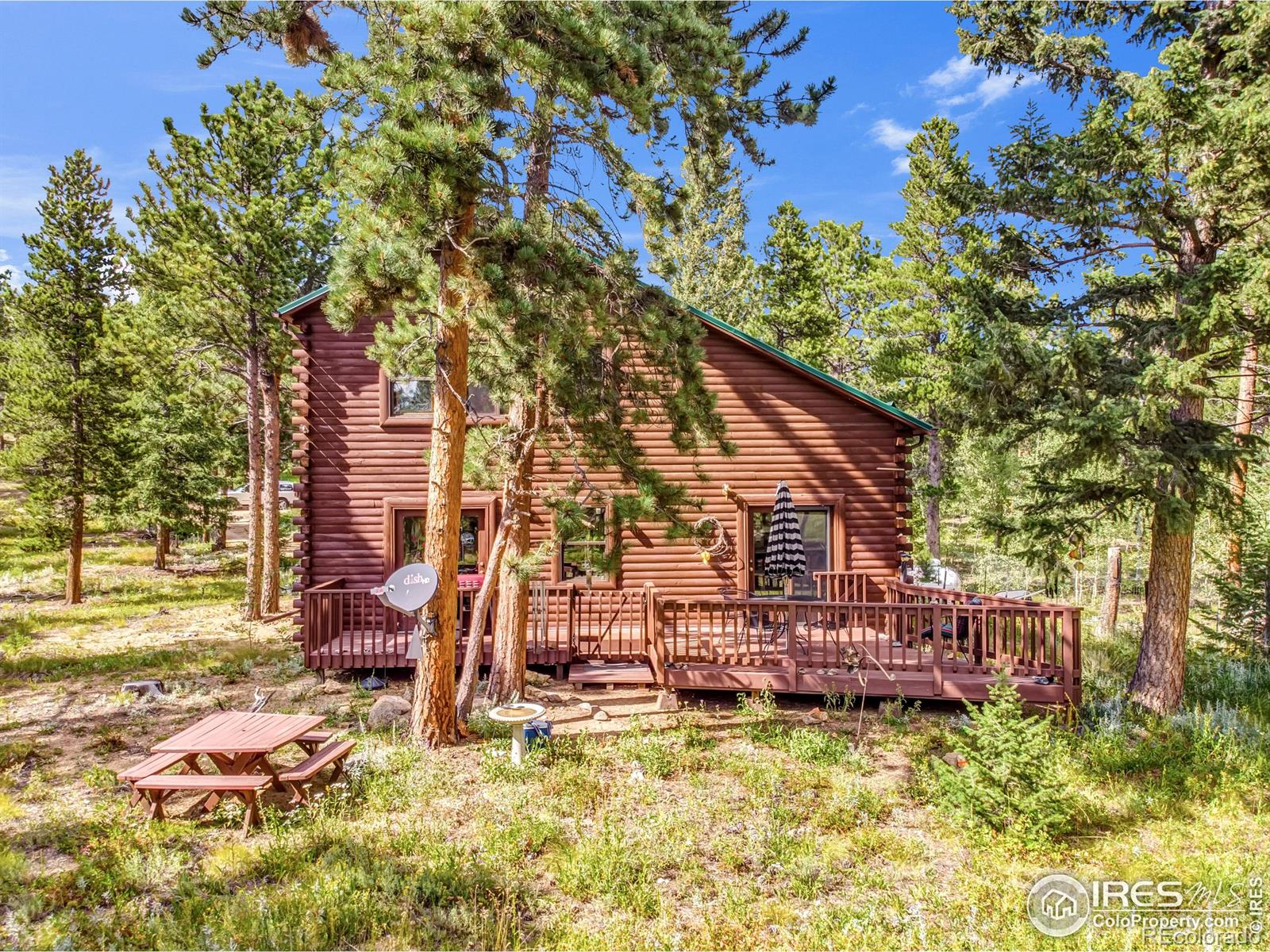 MLS Image #19 for 92  tilghman road,ward, Colorado