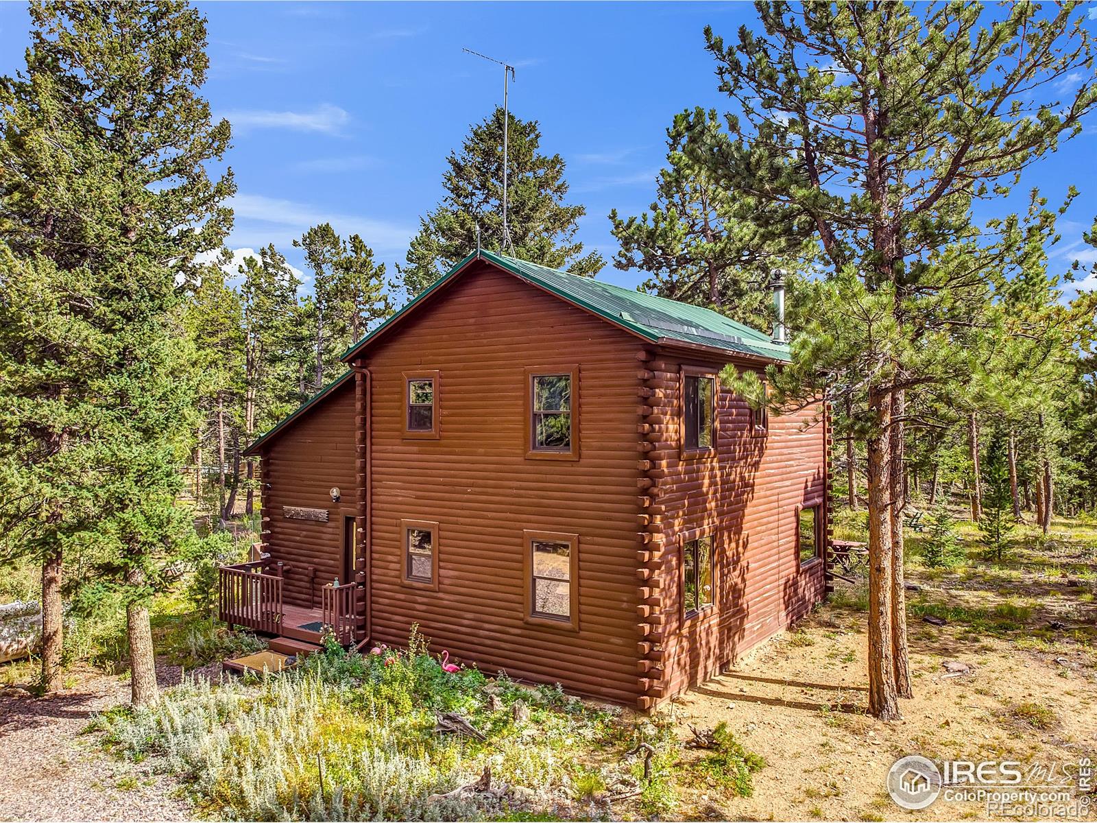 MLS Image #21 for 92  tilghman road,ward, Colorado