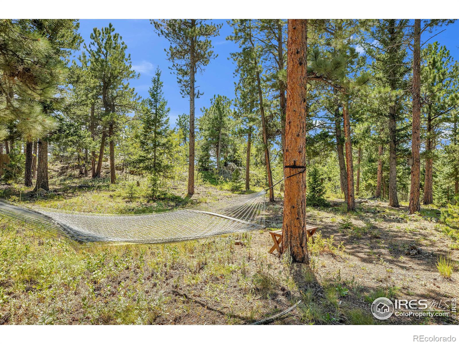 MLS Image #22 for 92  tilghman road,ward, Colorado