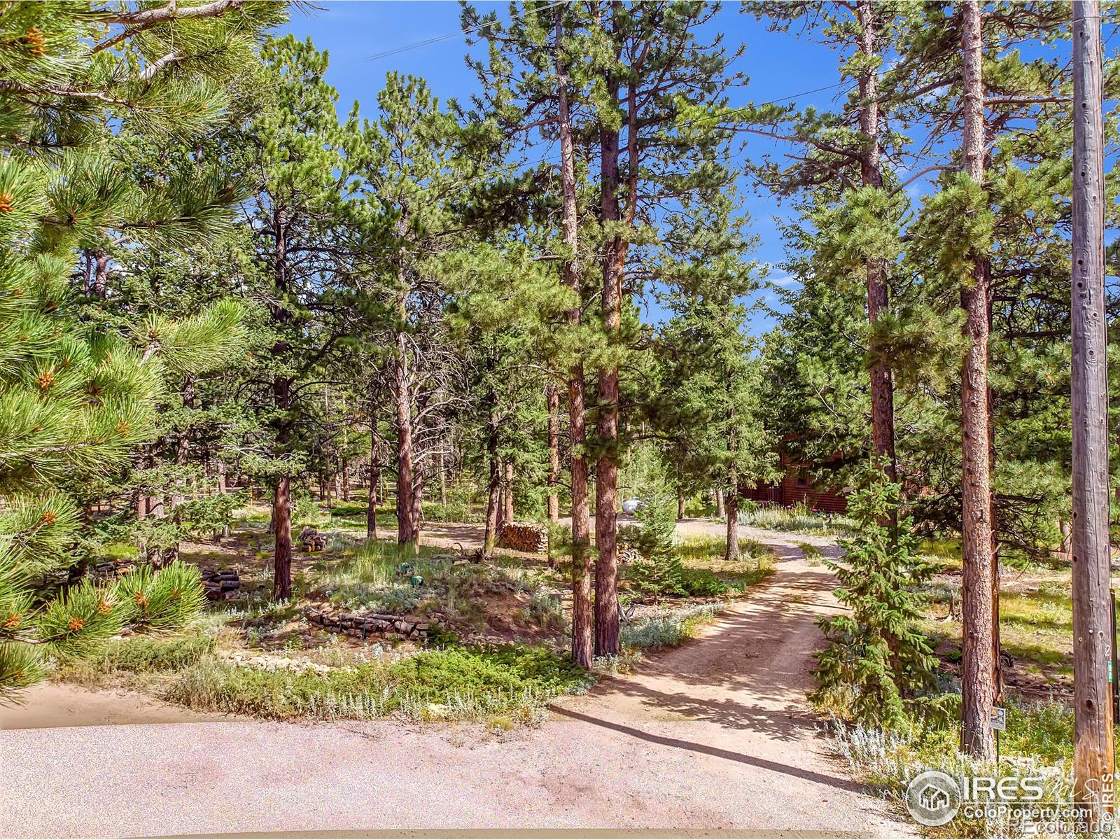 MLS Image #23 for 92  tilghman road,ward, Colorado