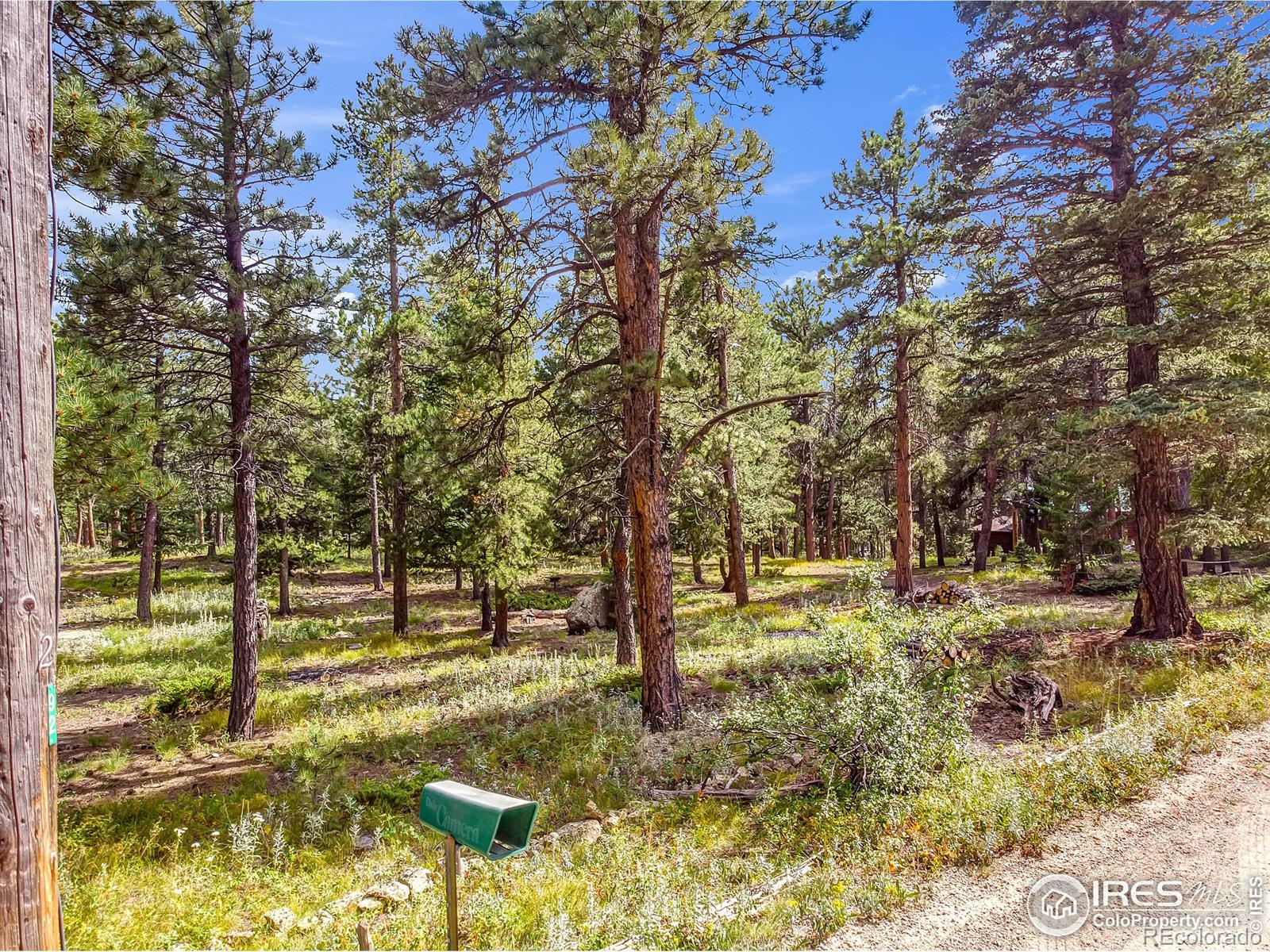 MLS Image #24 for 92  tilghman road,ward, Colorado