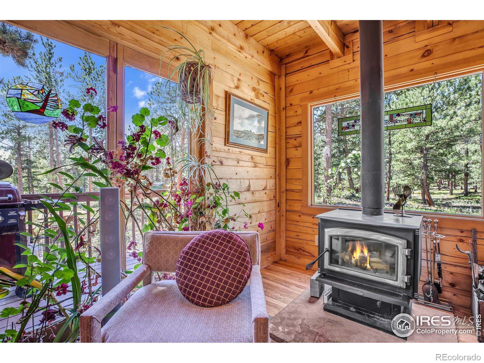 MLS Image #3 for 92  tilghman road,ward, Colorado