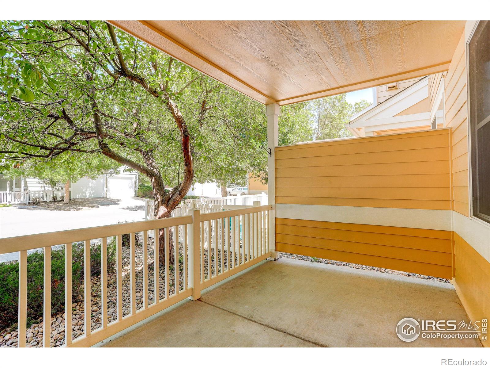 MLS Image #11 for 2019  grays peak drive,loveland, Colorado