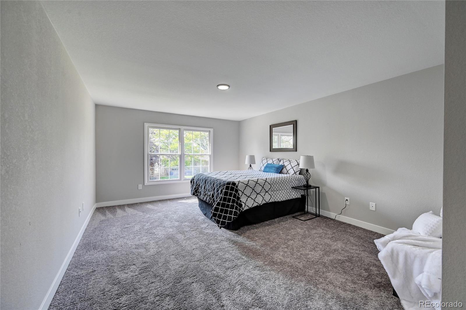 MLS Image #19 for 9227  vrain court,westminster, Colorado