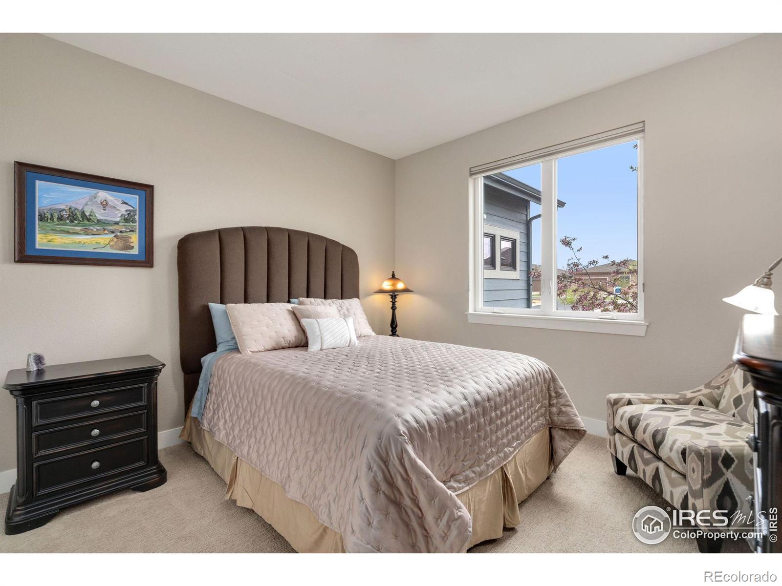 MLS Image #23 for 6990  toponas court,timnath, Colorado