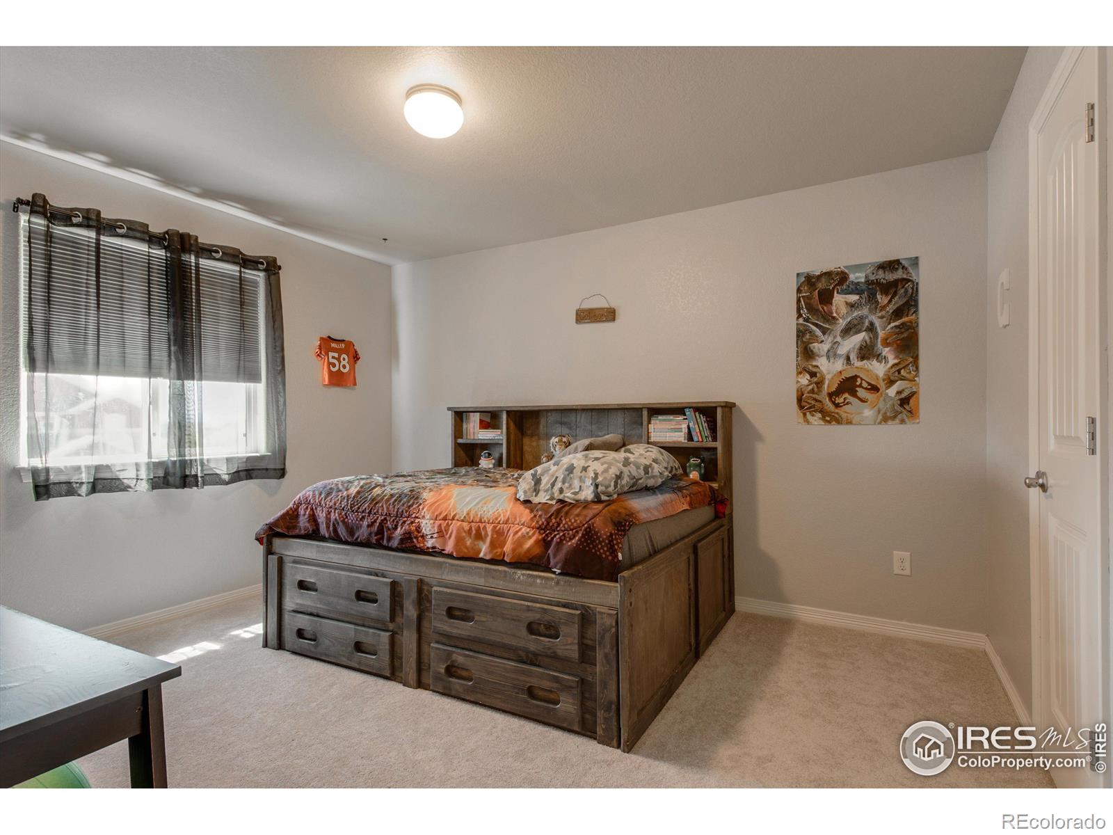 MLS Image #24 for 2721  bridle drive,mead, Colorado