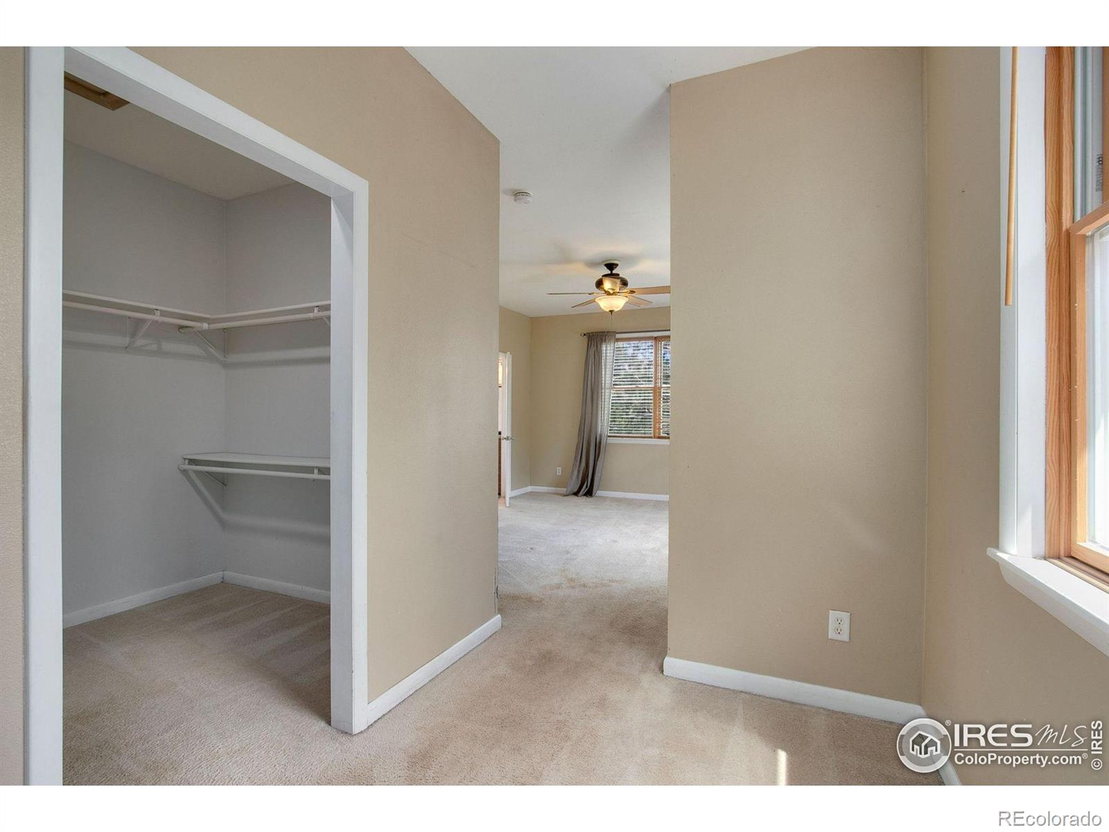 MLS Image #18 for 4820  foothills drive,fort collins, Colorado