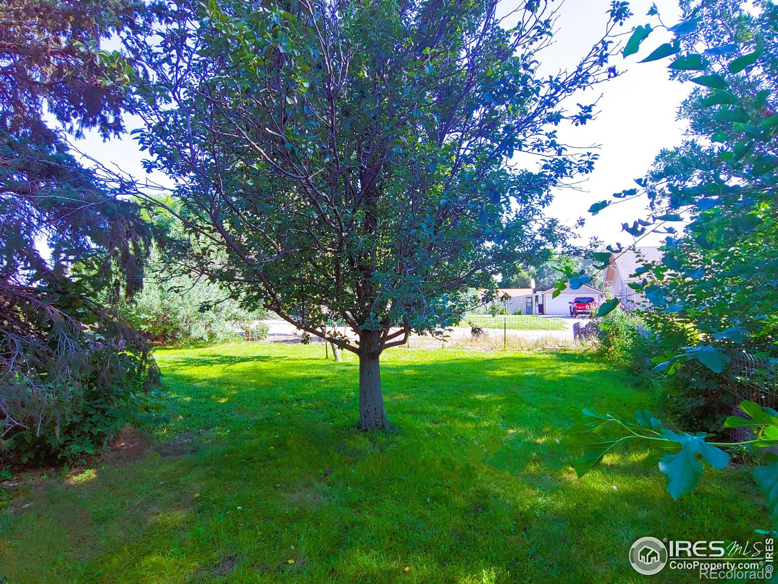 MLS Image #38 for 202 e champa street,fleming, Colorado