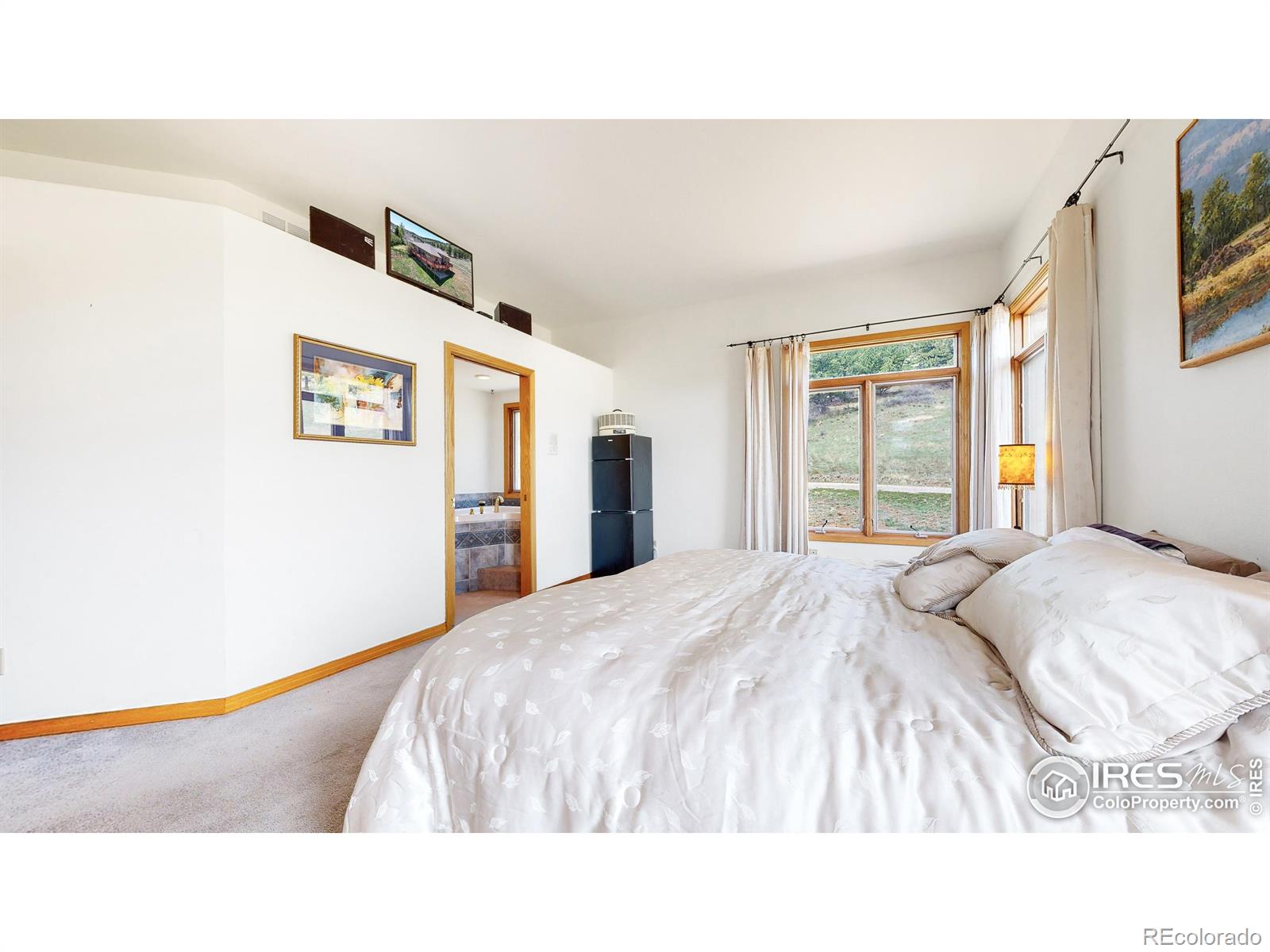 MLS Image #14 for 2469  sedona hills drive,loveland, Colorado