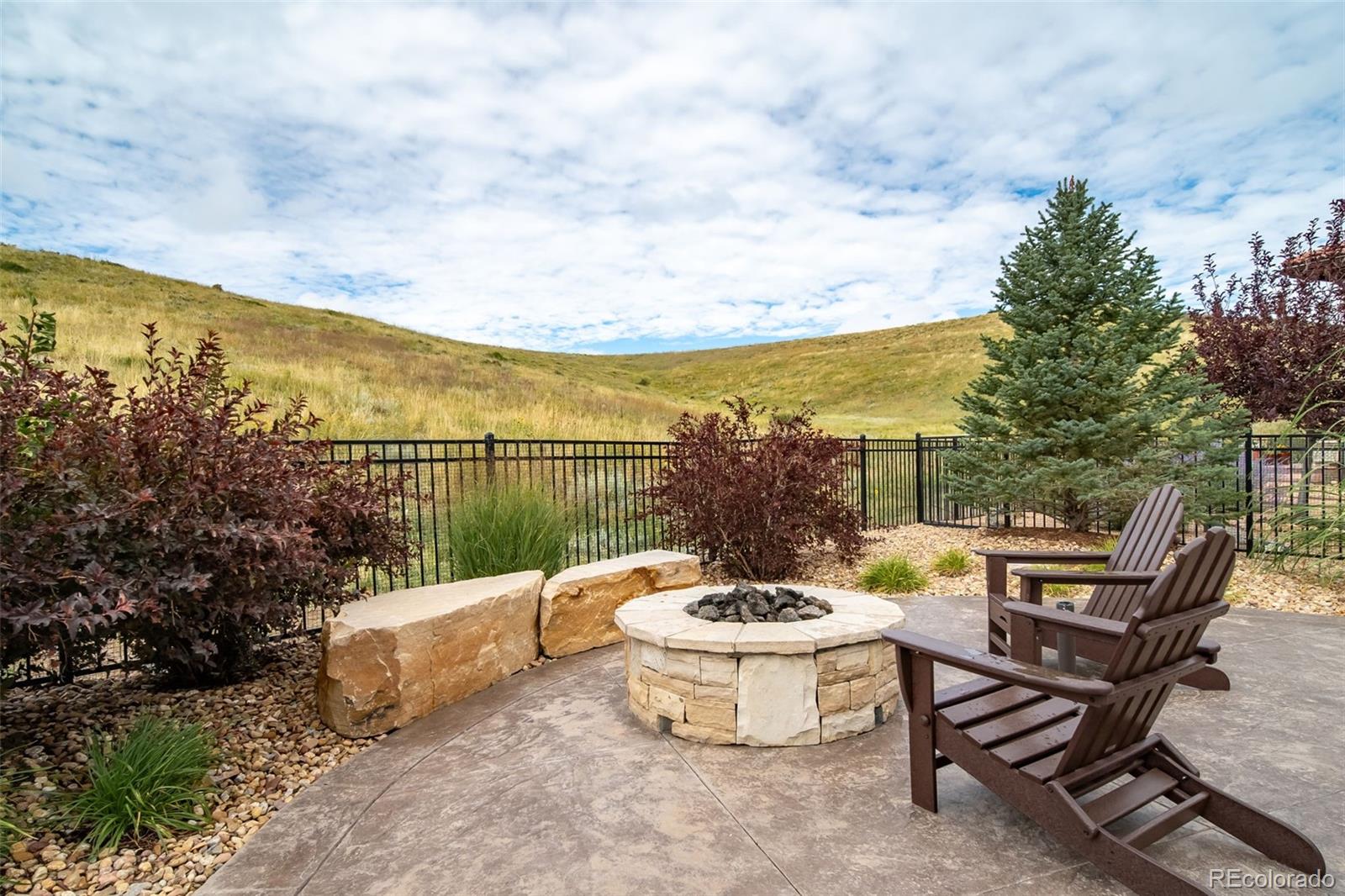 MLS Image #29 for 10646  ladera point,lone tree, Colorado