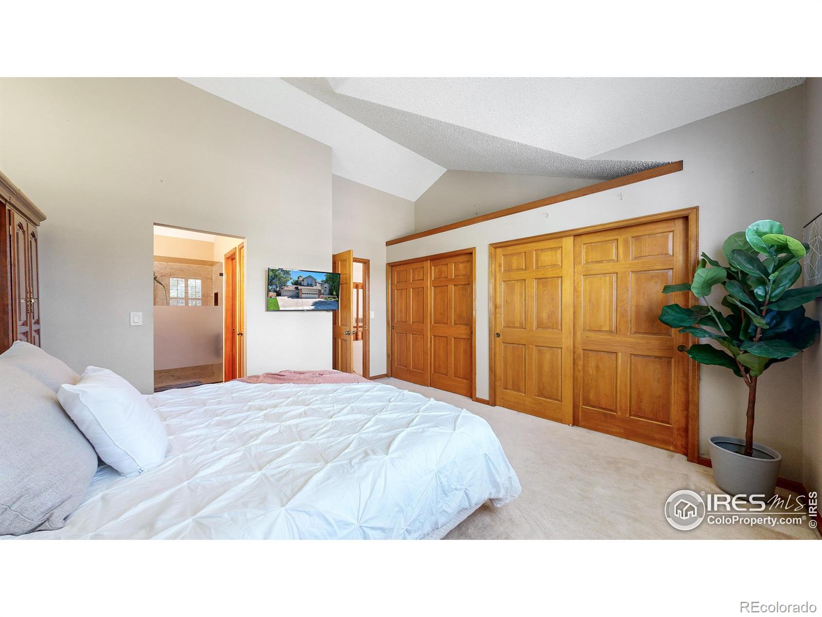 MLS Image #12 for 4312  black hawk circle,fort collins, Colorado