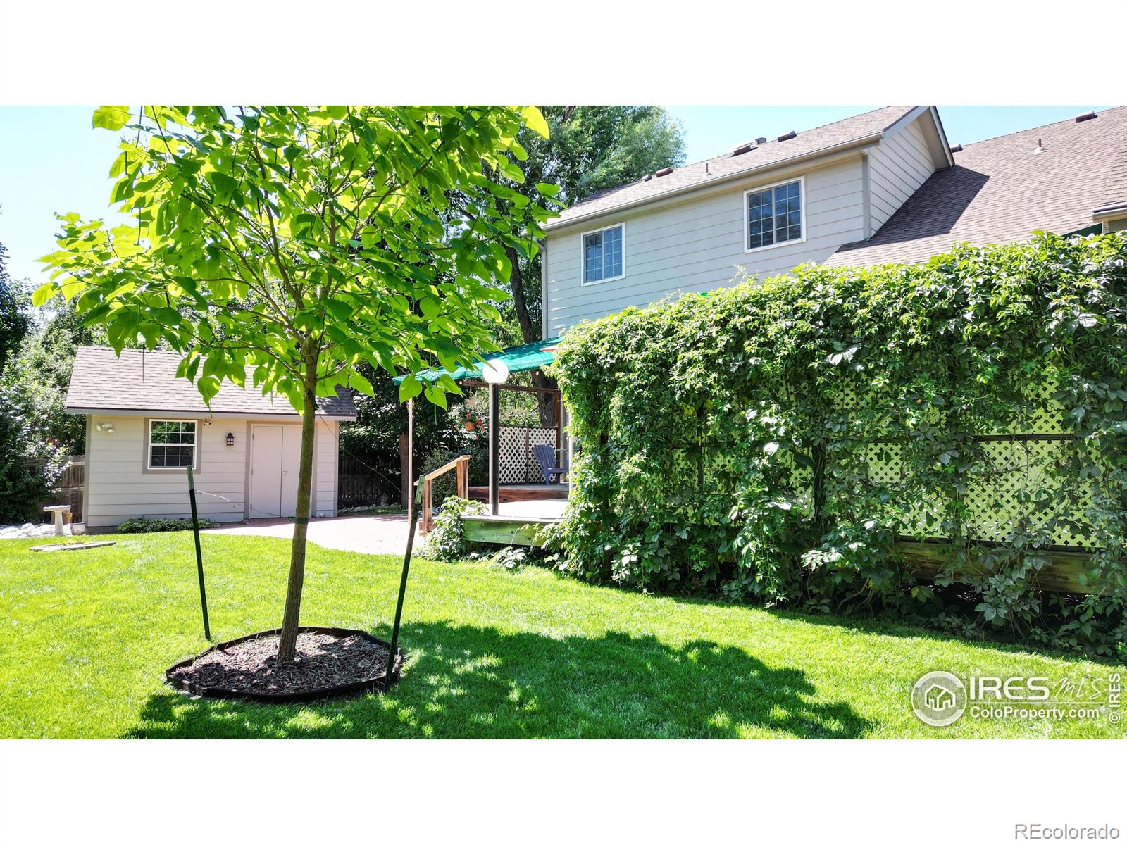 MLS Image #32 for 4312  black hawk circle,fort collins, Colorado