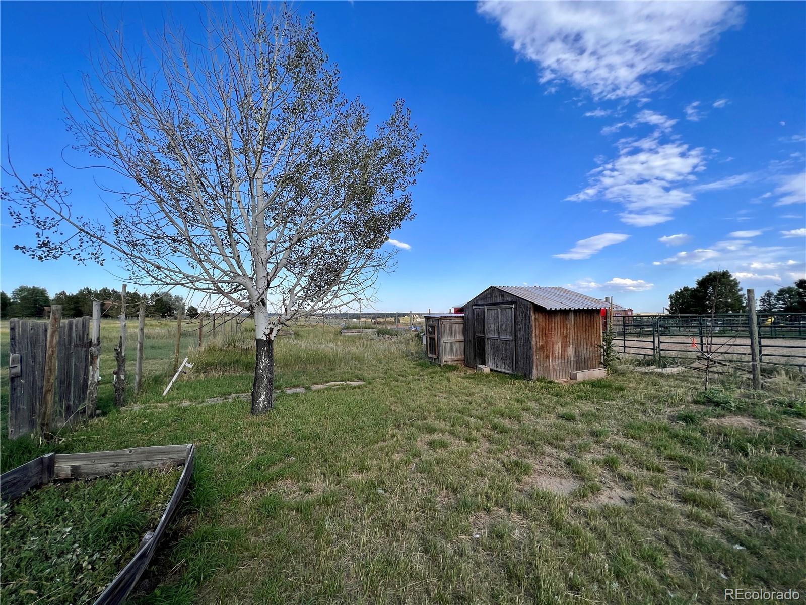 MLS Image #15 for 1341  tomichi drive,franktown, Colorado