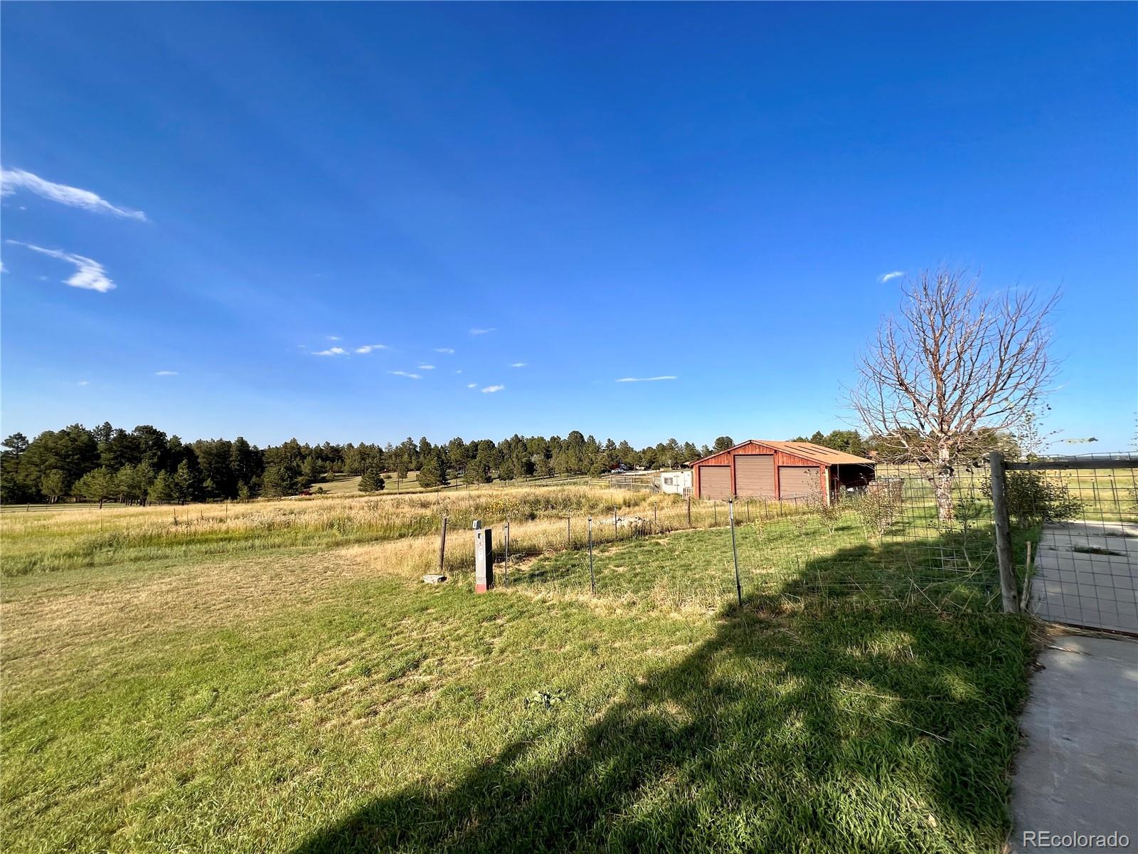 MLS Image #5 for 1341  tomichi drive,franktown, Colorado