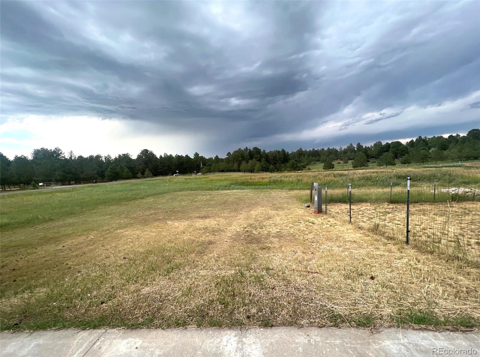 MLS Image #9 for 1341  tomichi drive,franktown, Colorado