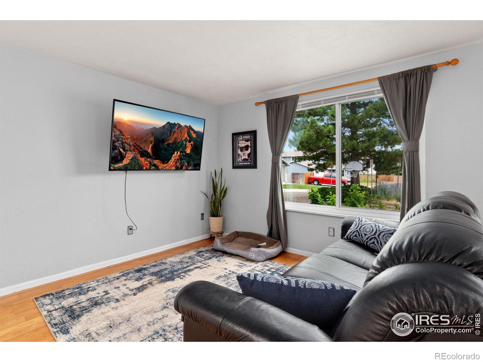 MLS Image #5 for 9356  ingalls street,westminster, Colorado