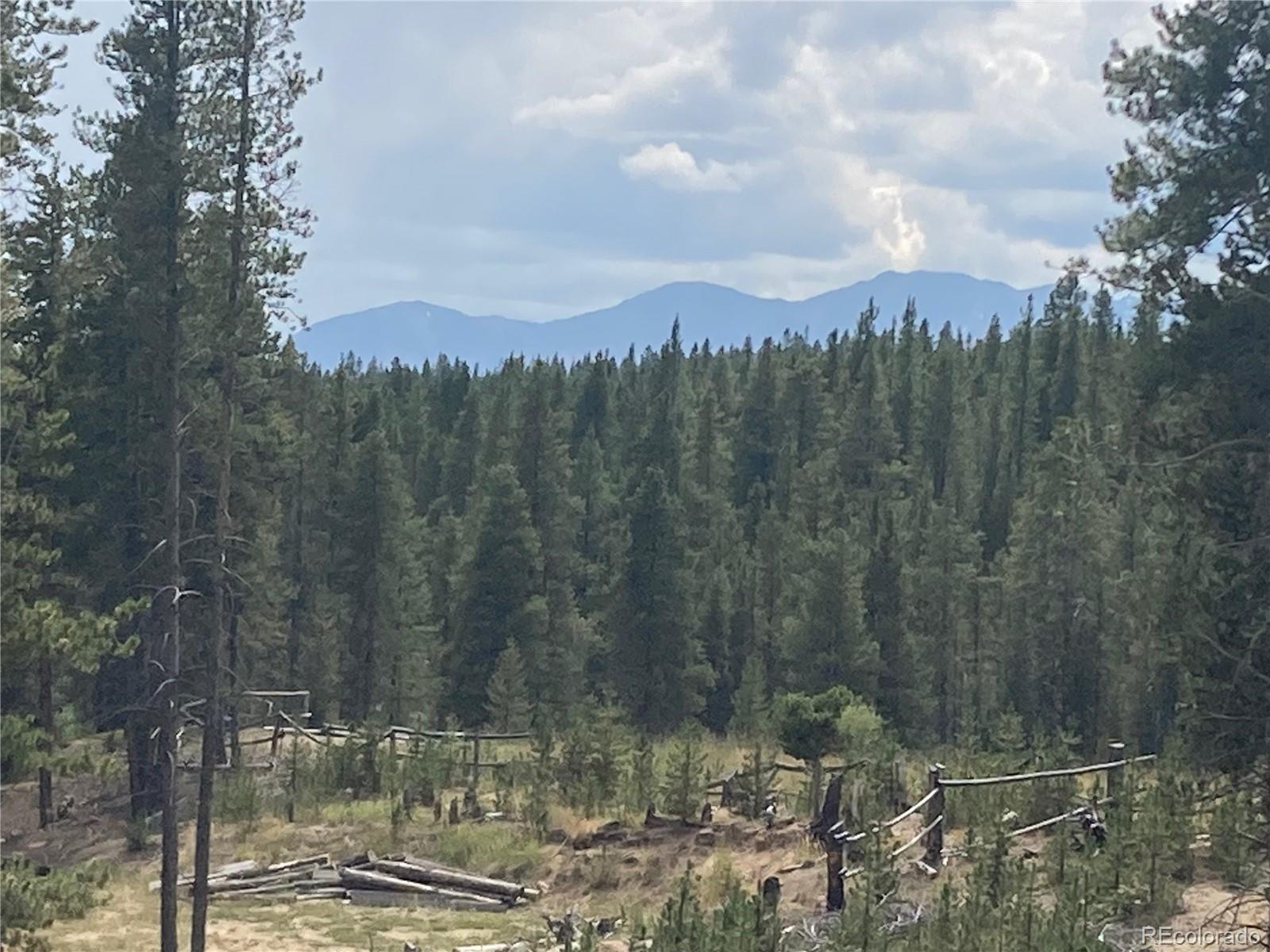 MLS Image #2 for 137 w dream home drive ,leadville, Colorado