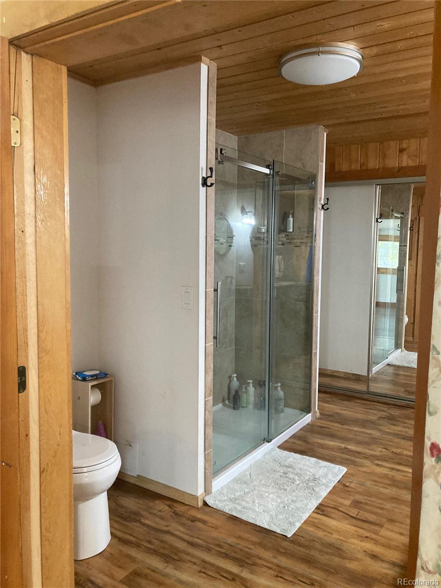 MLS Image #21 for 137 w dream home drive ,leadville, Colorado